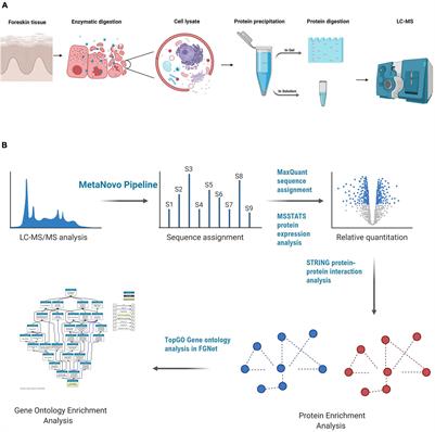 A pilot study to show that asymptomatic sexually transmitted infections alter the foreskin epithelial proteome